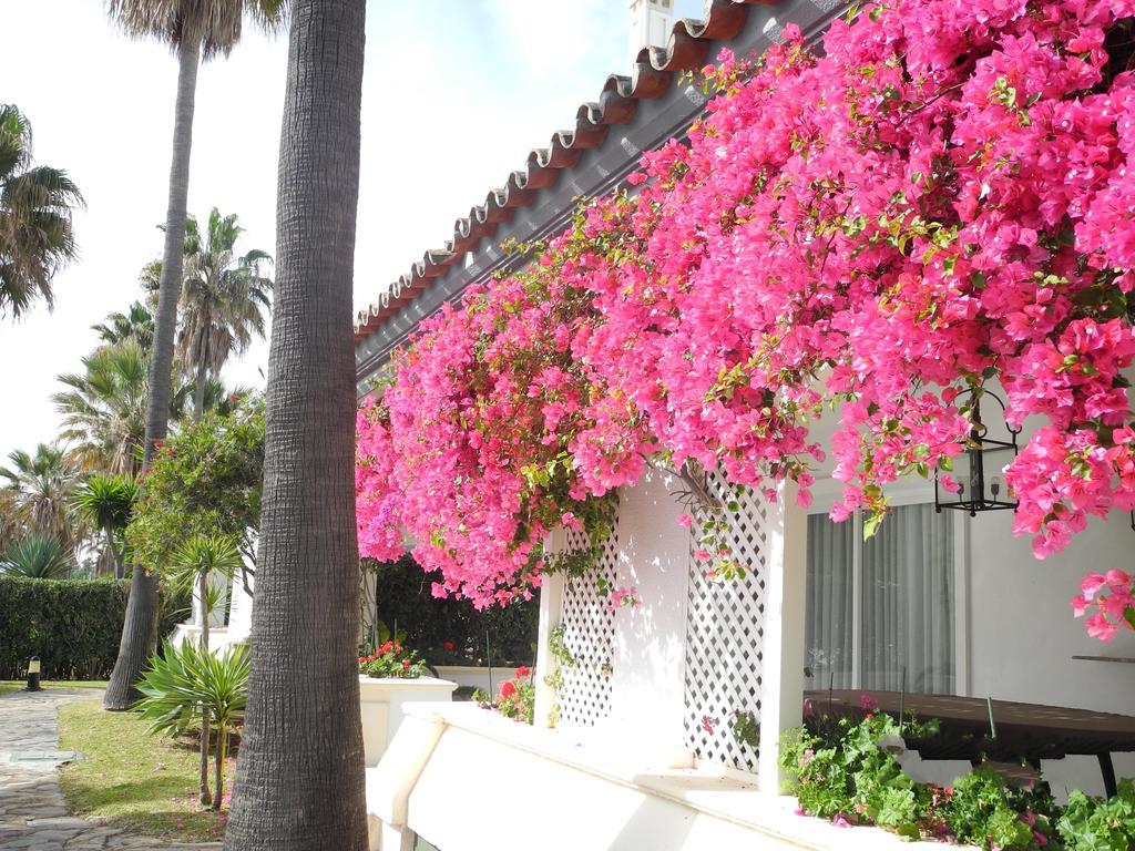 Dominion Apartments Estepona Dış mekan fotoğraf
