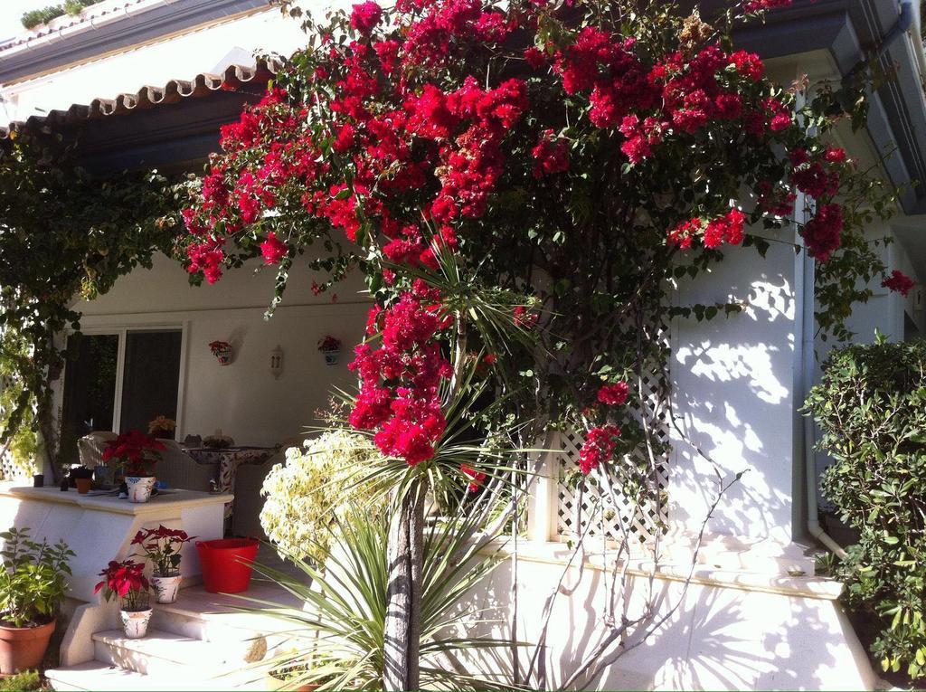 Dominion Apartments Estepona Dış mekan fotoğraf